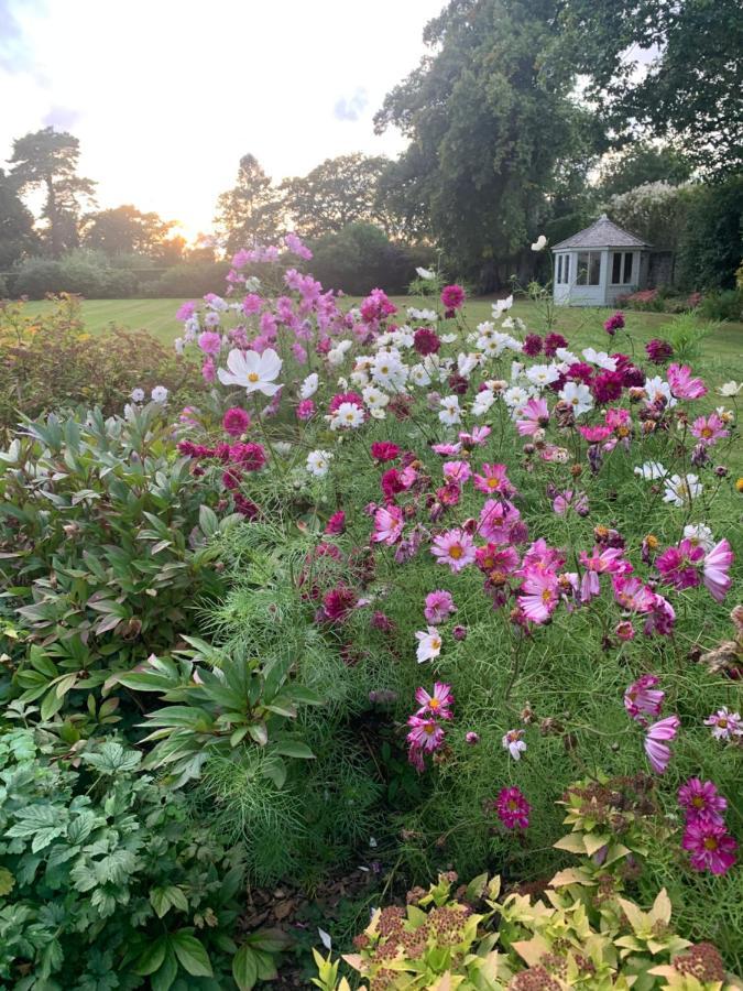 Dalton House Bed And Breakfast Eksteriør bilde